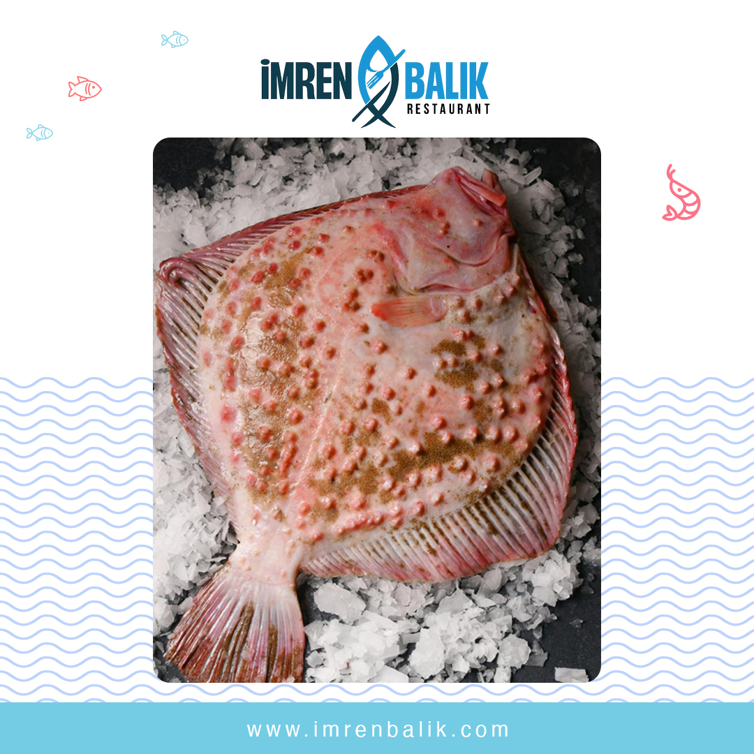 İmren Balıkçılık